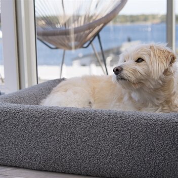 BIA BED PREMIUM HOES TEDDY GRIJS 120X100X15 CM