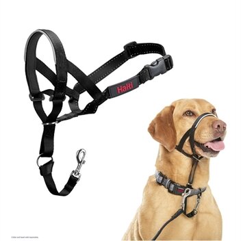 COMPANY OF ANIMALS HALTI HEADCOLLAR ZWART NEKOMVANG 40-54 CM NEUSOMTREK 24-36 CM