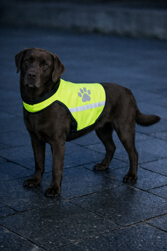 TRIXIE REFLECTEREND VEILIGHEIDSVEST M Halsomtrek: 42-50cm  Buikomtrek: 50-68 cm