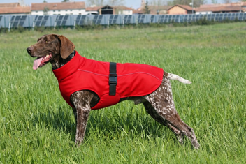 TRIXIE REGENJAS HOND VIMY ROOD 30CM