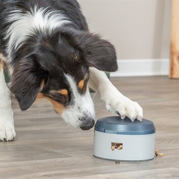 TRIXIE DOG ACTIVITY BUZZER KUNSTSTOF 14X14X9,5 CM
