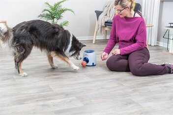 TRIXIE DOG ACTIVITY STRATEGIESPEL BALL&amp;TREAT LICHTGRIJS  BLAUW 17X17X18 CM BAL 6 CM