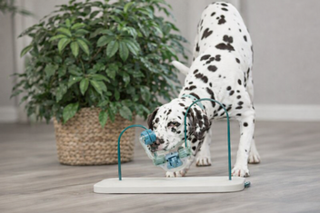TRIXIE DOG ACTIVITY SKILLS LOOP KUNSTSTOF  METAAL 43 CM
