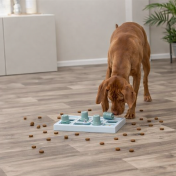 TRIXIE DOG ACTIVITY CHESS HONDENSPEL NIVEAU 2 40X27X5 CM