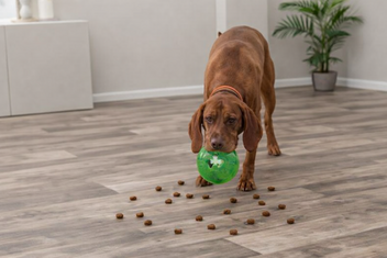 STARMARK VOERBAL TREAT DISPENSING CHEW BALL 9 CM