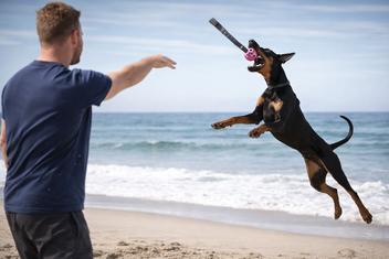TRIXIE BUNGEE TUGGER MET BAL ASSORTI 9X9X48 CM