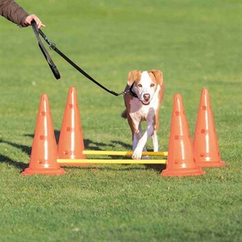 TRIXIE DOG ACTIVITY HORDENSET 23 CM X 30 CM