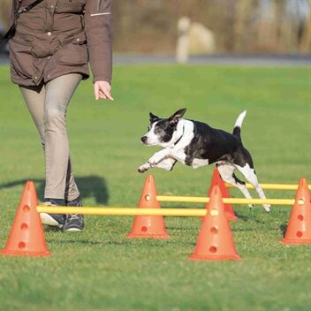 TRIXIE DOG ACTIVITY HORDENSET 30 CM X 50 CM HOOG