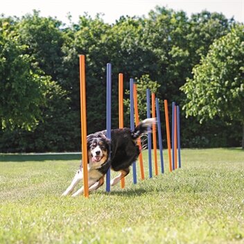 TRIXIE DOG ACTIVITY AGILITY SLALOM STOKKEN BLAUW / ORANJE 115X3 CM 12 ST