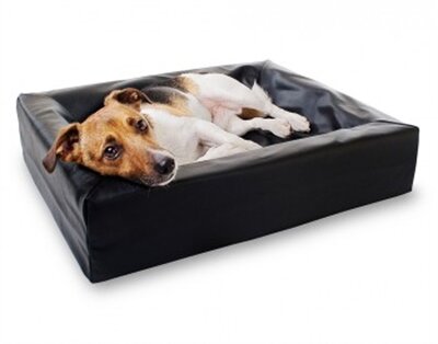 BIA BED HONDENMAND ORTHOPEDISCH ZWART 70X60X15 CM