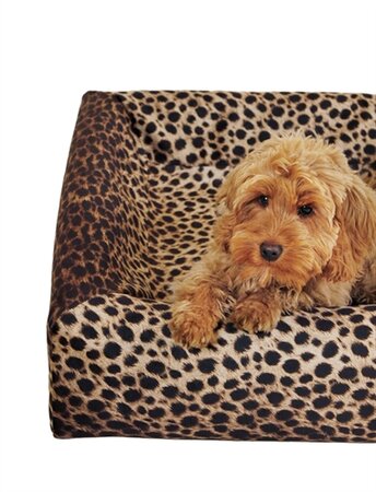 BIA BED HOES PREMIUM LUIPAARD PRINT 70X60X12,5 CM