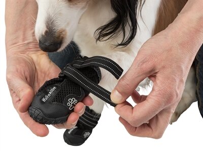 TRIXIE POOTBESCHERMING WALKER ACTIVE ZWART L PER PAAR