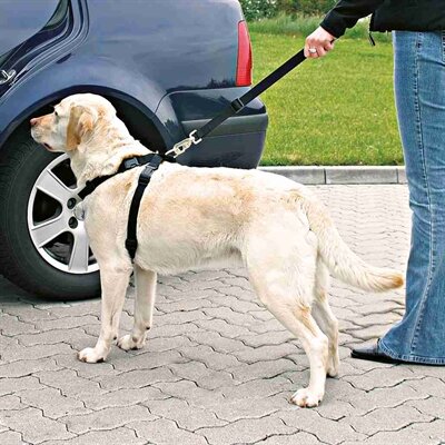 TRIXIE HONDENTUIG AUTO INCLUSIEF GORDEL ZWART 20-50 CM