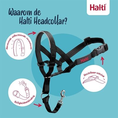 COMPANY OF ANIMALS HALTI HEADCOLLAR ZWART NEKOMVANG 40-54 CM NEUSOMTREK 24-36 CM