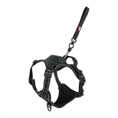 ZOLUX EASYRIDE HONDENTUIG L 63-80 cm 33-55 KG  ZWART