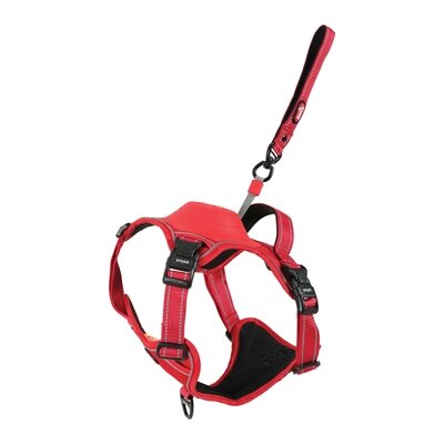 ZOLUX EASYRIDE HONDENTUIG L 63-80 cm 33-55 KG ROOD