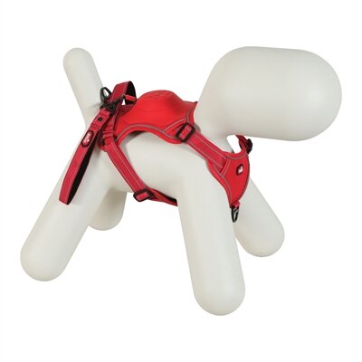 ZOLUX EASYRIDE HONDENTUIG S 41-54 cm 5-12 KG  ROOD