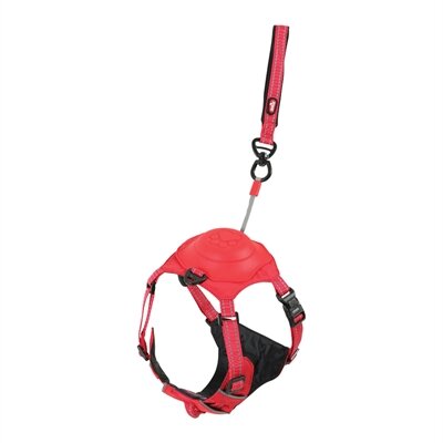 ZOLUX EASYRIDE HONDENTUIG  XS 33-43 cm 3-9 KG  ROOD