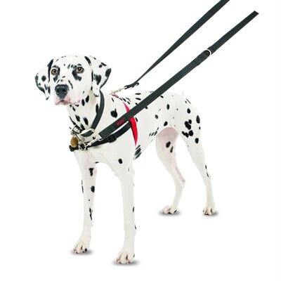 HALTI HARNESS FRONT CONTROL ZWART  M/58 &ndash; 86 cm