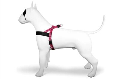 MORSO NORWEGIAN HONDENTUIG GERECYCLED BUBBLE LEO ROZE 39-48X35 CM