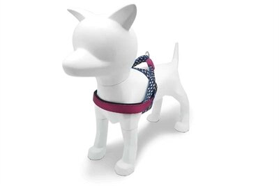 MORSO NORWEGIAN HONDENTUIG GERECYCLED POWER FLOW ZWART 41-56X38 CM