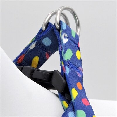 MORSO MINI HONDENTUIG VERSTELBAAR GERECYCLED COLOR INVADERS PAARS24-32X1,5 CM