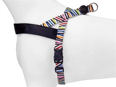 MORSO NORWEGIAN HONDENTUIG GERECYCLED SPAGHETTI INCIDENT 69-86X63 CM