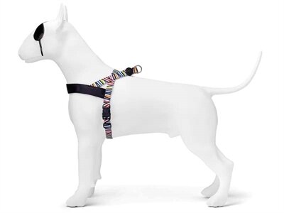 MORSO NORWEGIAN HONDENTUIG GERECYCLED SPAGHETTI INCIDENT 80-110X66 CM