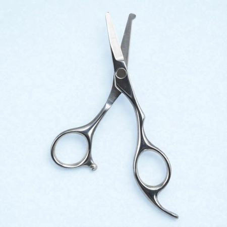 TRIXIE PROFESSIONELE GEZICHT-EN POTENSCHAAR RVS 13CM