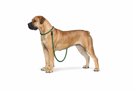 HUNTER RETRIEVERLIJN MET STOP FREESTYLE DONKERGROEN  170X1 CM