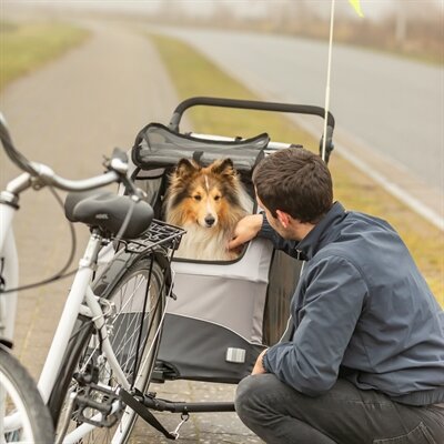 TRIXIE HONDENFIETSKAR OPVOUWBAAR TOT 15 KG GRIJS 74X58X93 CM