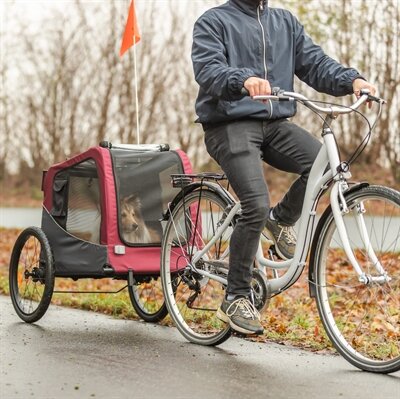 TRIXIE HONDENFIETSKAR TOT 15 KG GRIJS / ROOD 61/125X56X64 CM