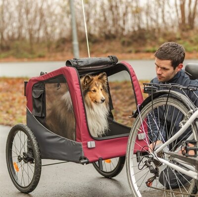 TRIXIE HONDENFIETSKAT TOT 22 KG GRIJS / ROOD 76/136x66x74 cm