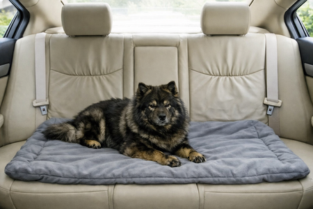 TRIXIE HONDENKUSSEN MATRAS SAMOA VITAL WATERAFSTOTEND OPVOUWBAAR DONKERGRIJS 140 X 90 CM