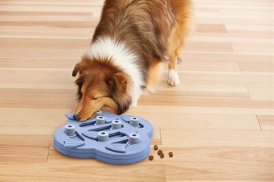 NINA OTTOSSON DOG HIDE N SLIDE COMPOSIET 33X33X5 CM