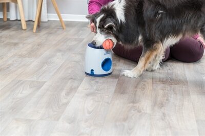 TRIXIE DOG ACTIVITY STRATEGIESPEL BALL&TREAT LICHTGRIJS  BLAUW 17X17X18 CM BAL 6 CM