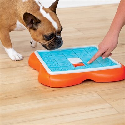 NINA OTTOSSON CHALLENGE SLIDER ORANJE / BLAUW