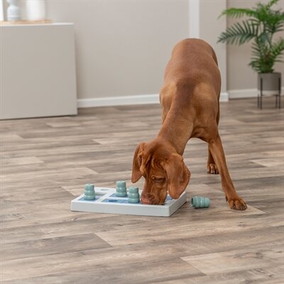 TRIXIE DOG ACTIVITY CHESS HONDENSPEL NIVEAU 2 40X27X5 CM