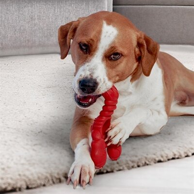 NYLABONE EXTREME CHEW LOBSTER FILET MIGNONSMAAK XL >23 KG