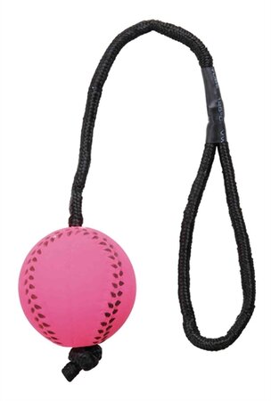 TRIXIE SPORTBAL AAN TOUW SCHUIMRUBBER DRIJVEND ASSORTI 6x6x30 CM