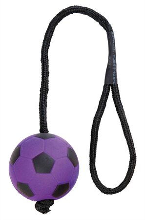TRIXIE SPORTBAL AAN TOUW SCHUIMRUBBER DRIJVEND ASSORTI 6x6x30 CM