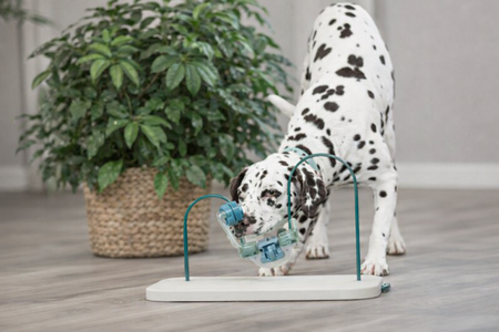 TRIXIE DOG ACTIVITY SKILLS LOOP KUNSTSTOF  METAAL 43 CM