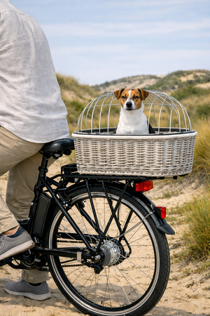 TRIXIE FIETSMAND BAGAGEDRAGER MET ROOSTER GRIJS 55X35X49 CM