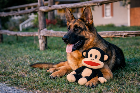 PAUL FRANK PLUCHE AAP JULIUS 50 CM