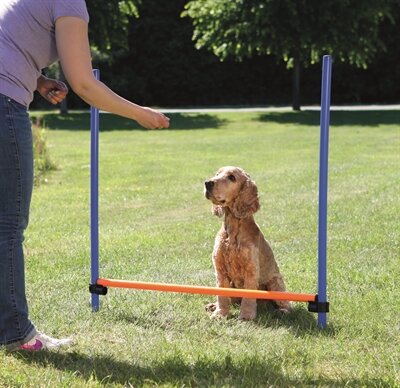 TRIXIE DOG ACTIVITY AGILITY HORDE BLAUW / ORANJE 123X115X3 CM