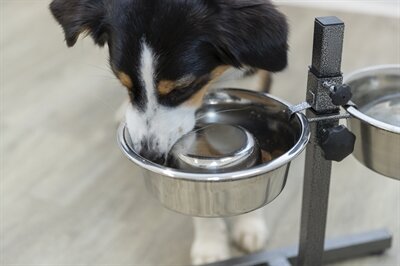 TRIXIE VOERBAK HOND SLOW FEEDING RVS 1,1 LTR 21 CM