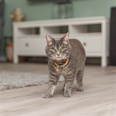 TRIXIE KATTENHALSBAND GEBLOKT MOTIEF ASSORTI 20-30X1 CM