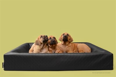 BIA BED HONDENMAND ORIGINAL SQUARE ZWART 60X60X15 CM