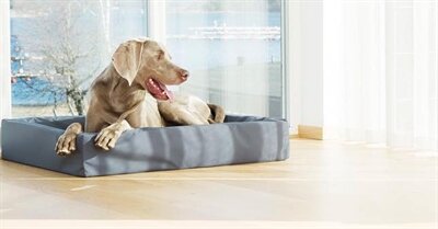 BIA BED HONDENMAND ORIGINAL GRIJS 85X70X15 CM