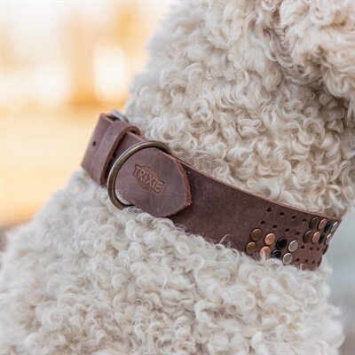TRIXIE HALSBAND HOND RIVET RUSTIC VETLEER DONKERBRUIN  L 47-54 CMX4 CM